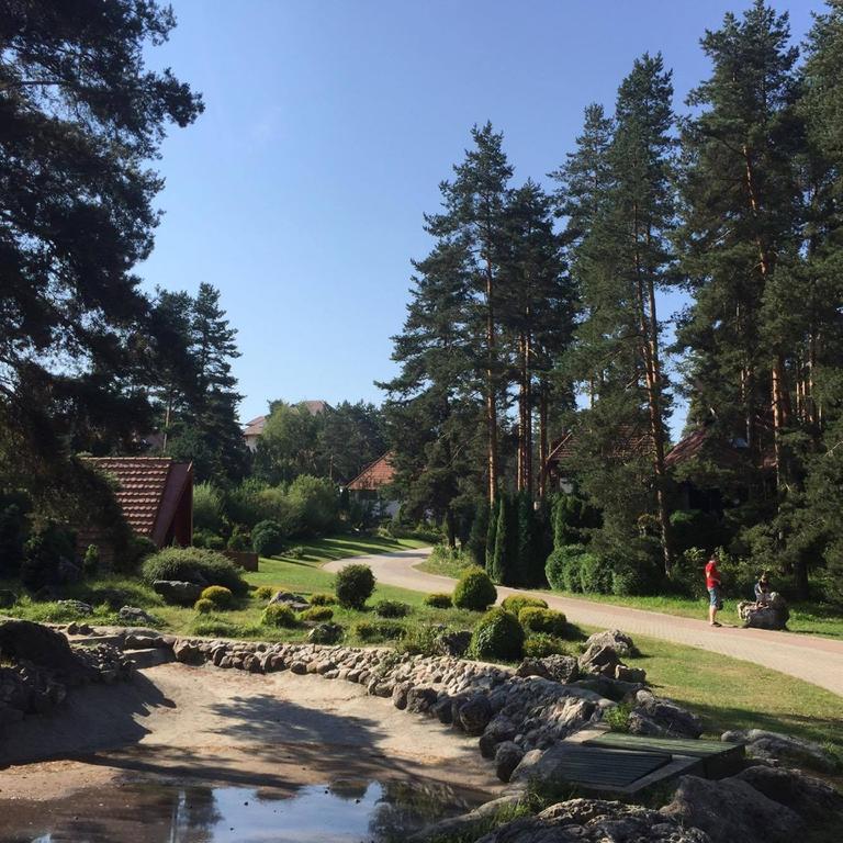 Kraljevi Konaci - Najam Kuca Na Zlatiboru Apartment Bagian luar foto